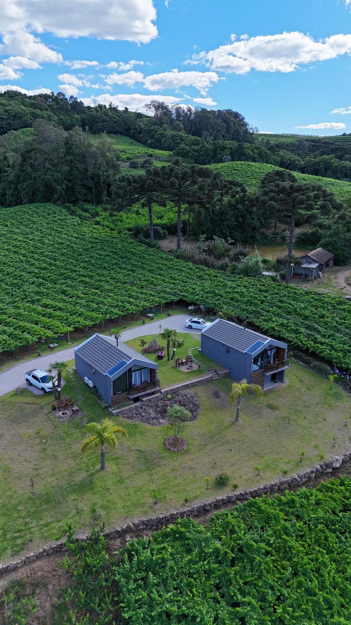 Cabanas Le Vigne Pinto Bandeira Exterior foto