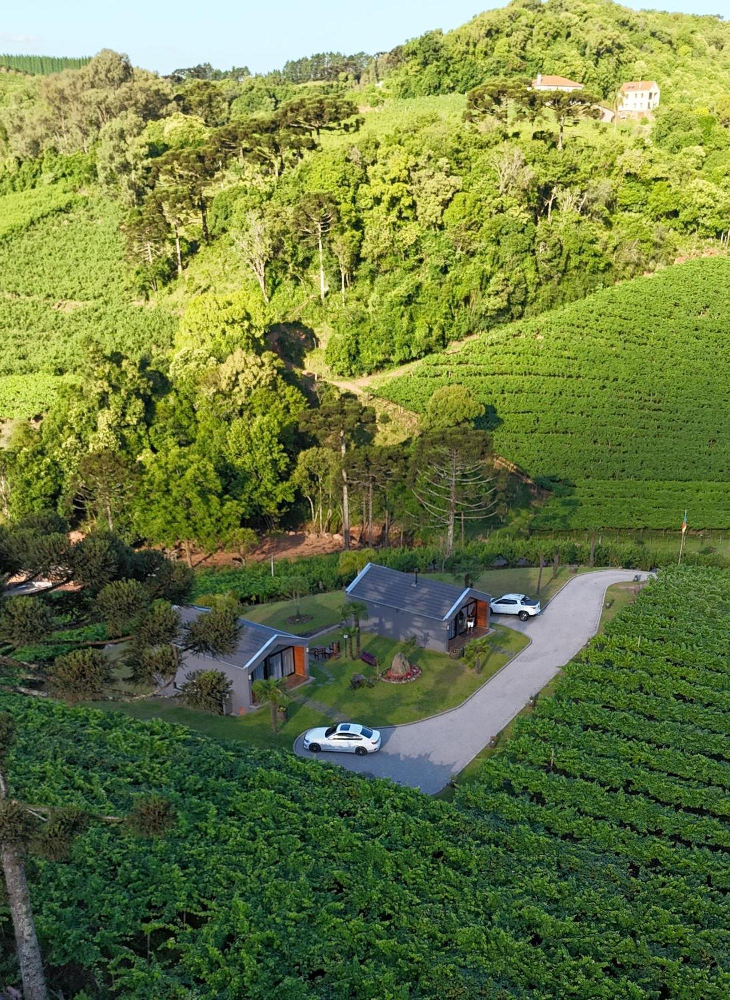 Cabanas Le Vigne Pinto Bandeira Exterior foto